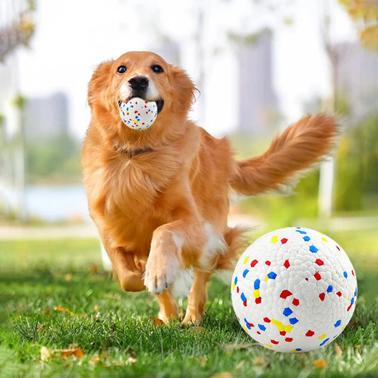 Bite Resistant Solid Dog Ball Toys for Small Large Dogs High Elasticity E-TPU Pet Chew Ball Toy Non Squeak Interactive Puppy Toy