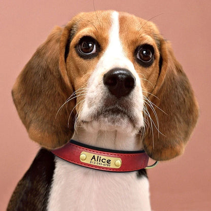 Personalized Leash Custom Dog Collar PU Leather Pet Dog Tag Collars Free Engraved Nameplate For Small Medium Large Dogs Pitbull