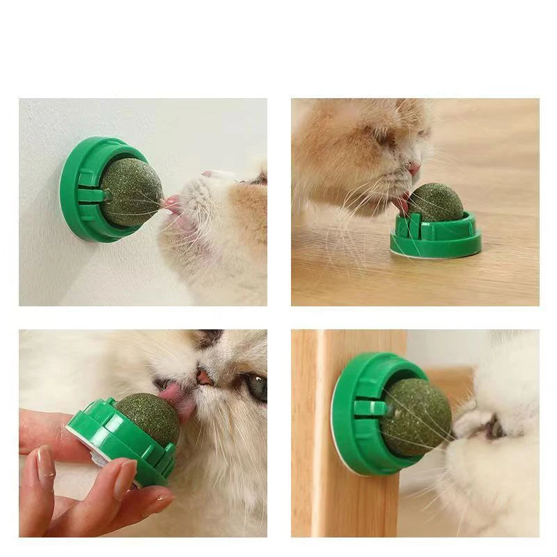 Catnip Wall Ball Toy - Natural Scratchers  Digestion Treats - ZOOMNSTORE