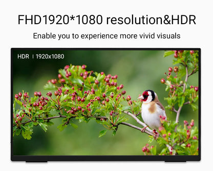 Portable 18 Inch Monitor - 1080P 100Hz IPS Display with HDR10 & 100% sRGB