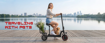 2026 New 500W 10inch Solid Tire Electric Bicycle with Basket 7.8AH Battery 22Miles Max Range 22MPH Max Speed Dua Shock Absorption Foldable Adult Ebike