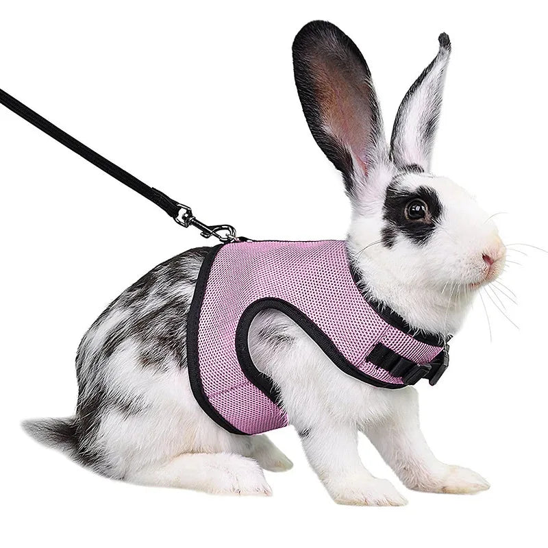 Solid Adjustable Pet Harness and Leash for Rabbit Bunny Cat Ferrets Outdoor Walking Pets Supplies Lapin Accessoires Pour Animaux