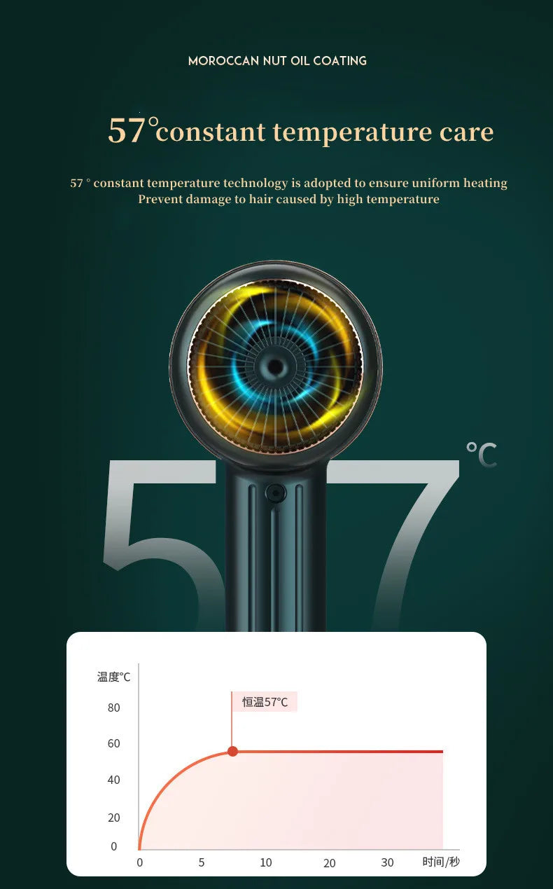 Professional Hair Dryer - Foldable High Power Negative Ion Blu-Ray Electric Blow Dryer