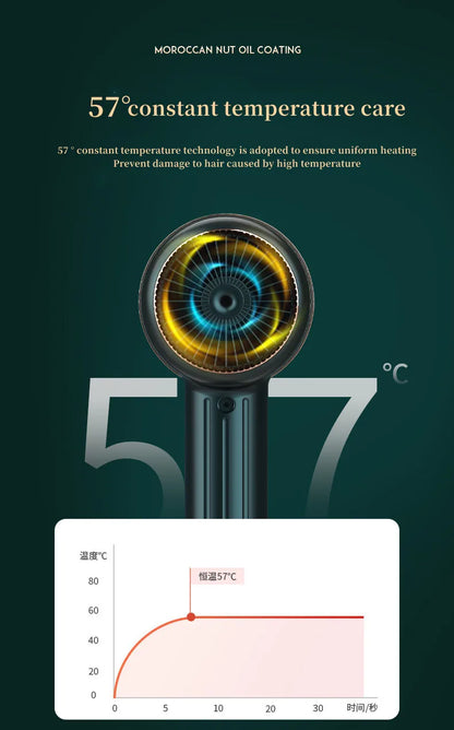 Professional Hair Dryer - Foldable High Power Negative Ion Blu-Ray Electric Blow Dryer