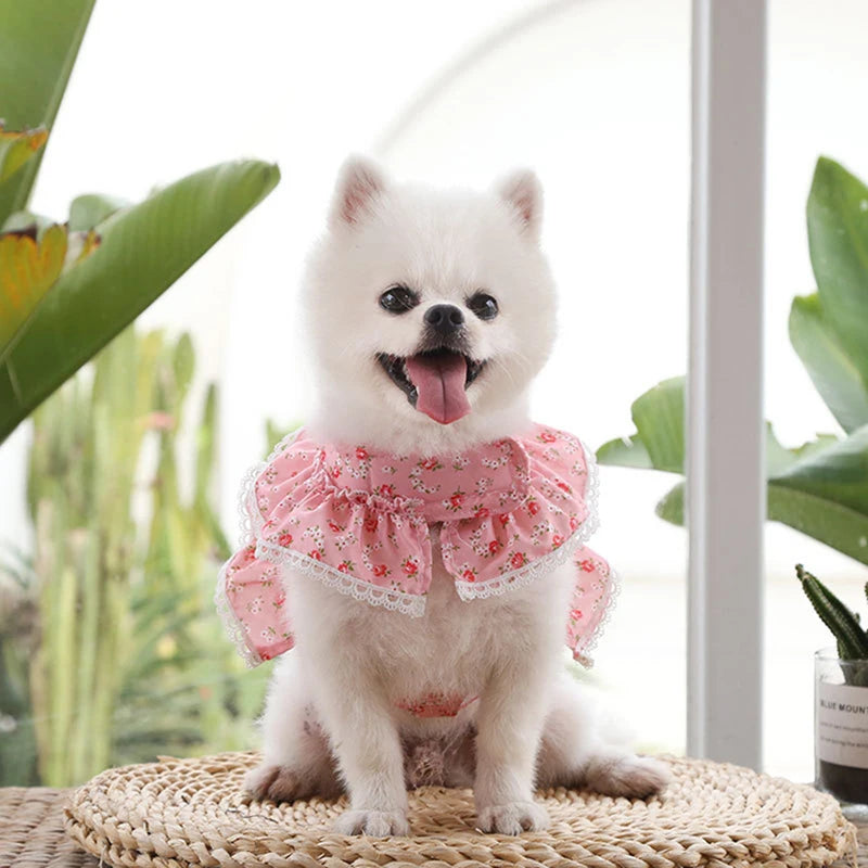 Lace Floral Dog Cat Harness Leash Set For Small Dogs Dress Cute Adjustable Pet Harness Vest Breathable Mesh Running Walking Lead
