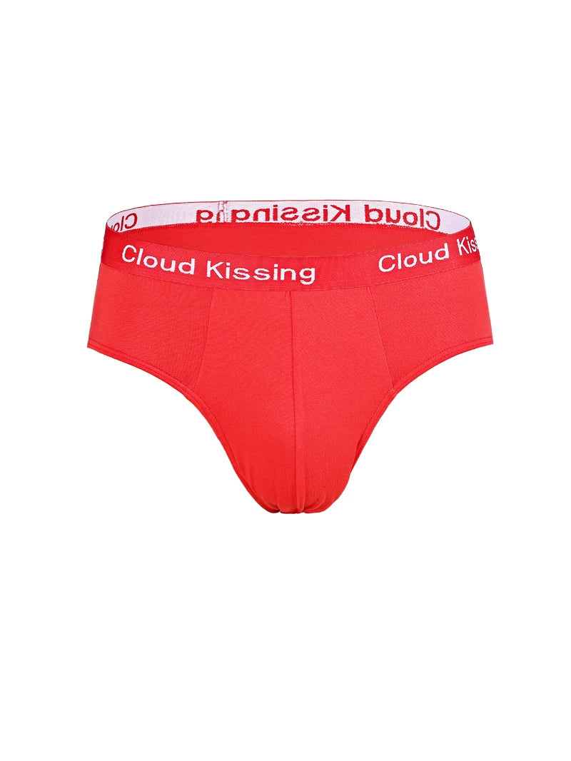10Pcs/Lot  Fashion Men's Panties Underwear Men  Size Briefsr Bikini Pant Men Comfortable Sexy Slip Underpants Hot XS-XL
