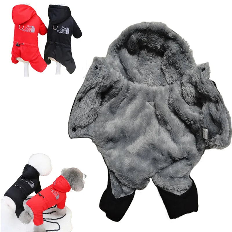 ZOOMNSTORE