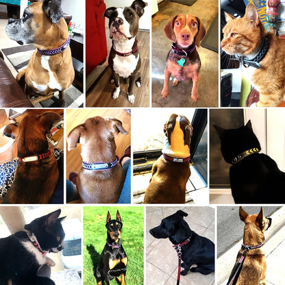 Personalized Dog Collar Leather Padded Dogs Braided Collars Free Engraving Pet ID Tag Nameplate for Small Medium Large Dogs
