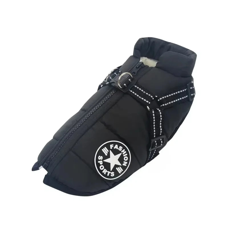 ZOOMNSTORE