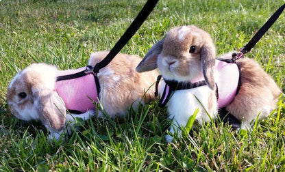 Solid Adjustable Pet Harness and Leash for Rabbit Bunny Cat Ferrets Outdoor Walking Pets Supplies Lapin Accessoires Pour Animaux