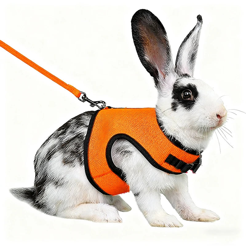 Solid Adjustable Pet Harness and Leash for Rabbit Bunny Cat Ferrets Outdoor Walking Pets Supplies Lapin Accessoires Pour Animaux