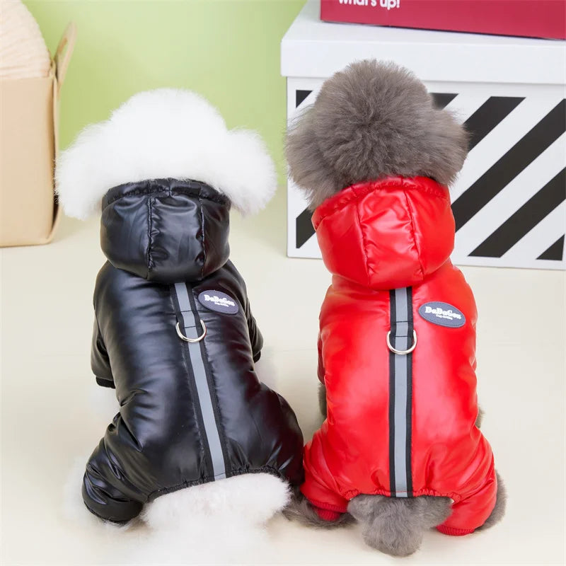 ZOOMNSTORE
