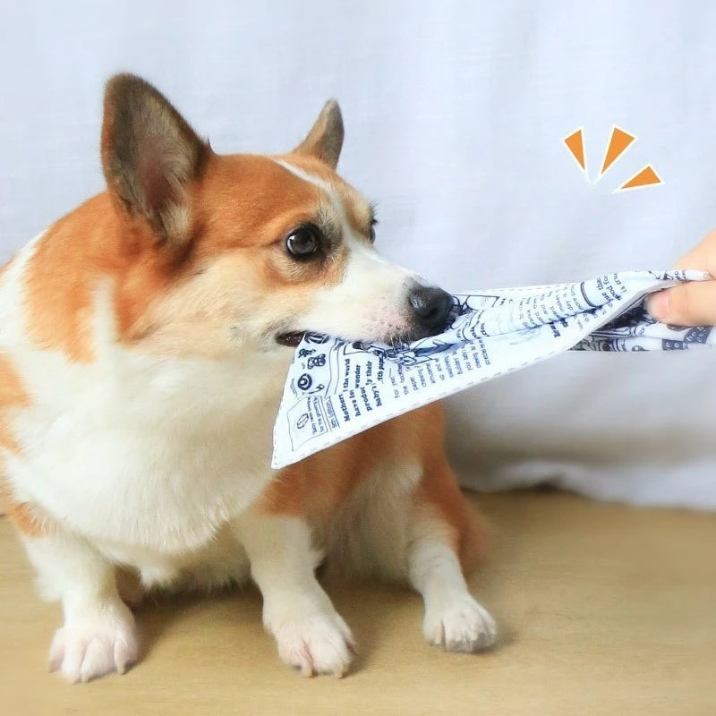 Interactive Dog Toys Paper Chew Resistant Teeth Grinding Toy Puppy Pet Supplies Newspaper Squeaker Toys for Small Medium Dog Toy