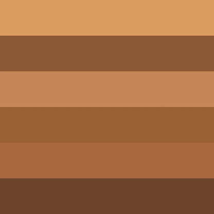 6-color Dark Powder Bronze Powder Dark Skin Foundation Oil Control Concealer Brighten The Face Create 3D Highlight Shadow Makeup
