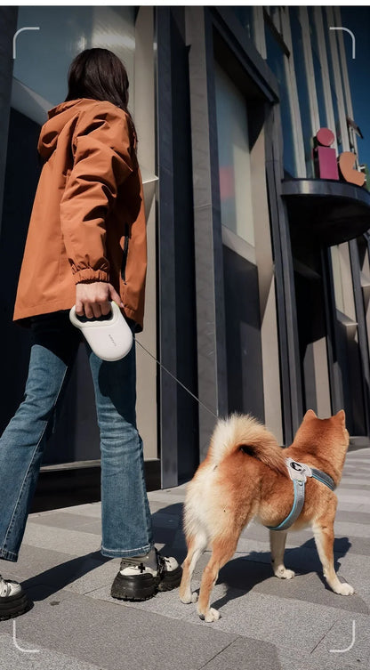 5M Retractable Dog Walking Leash - Automatic Reflective Traction Rope, Flexible Pet Belt for Small, Medium and Large Breed Dogs
