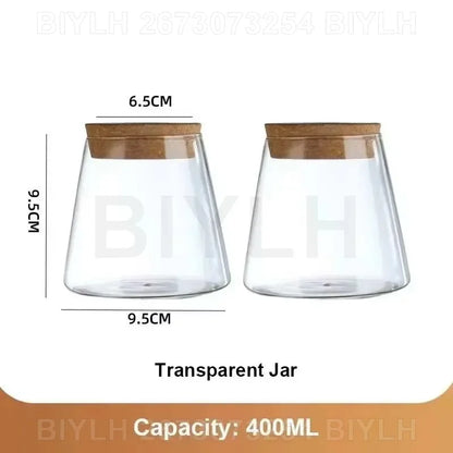 Hydroponic Glass Flower Pots - Transparent Small Vase with Base Tray for Home Decoration