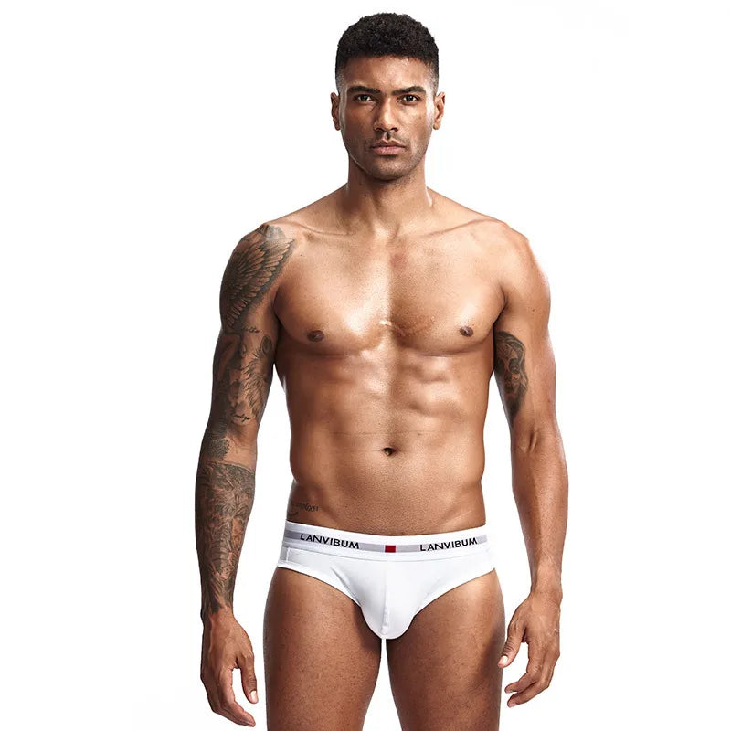 3pcs Men's Pure Cotton Low Waist Elastic Sexy Loose Breathable Youth Pant Headband Underwear Summer Cotton Briefs