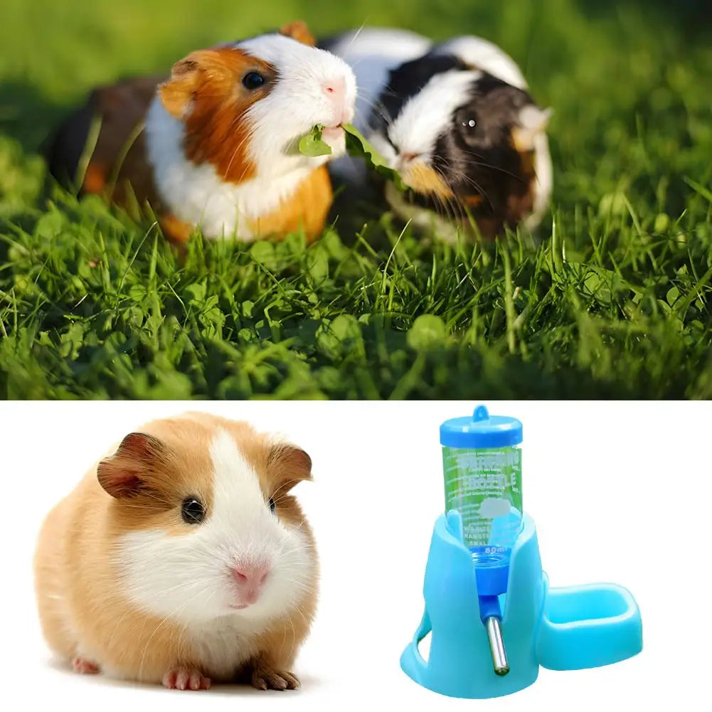 Automatic Small Animal Water Bottle Leak-Proof With Food Bowl - Hamster Guinea Pig Rat Drinking Water Dispenser