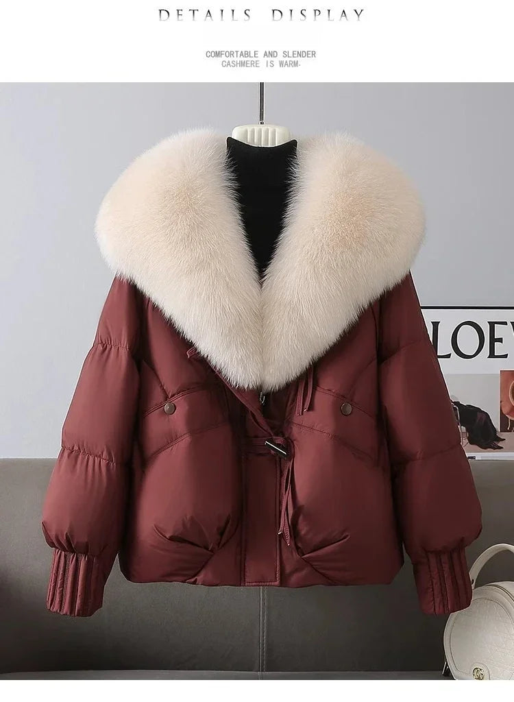 ZOOMNSTORE