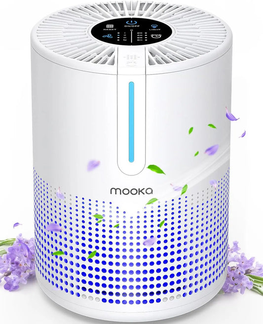 H13 HEPA Air Purifier - Portable for Home Bedroom Car  RV 430 SqFt - ZOOMNSTORE