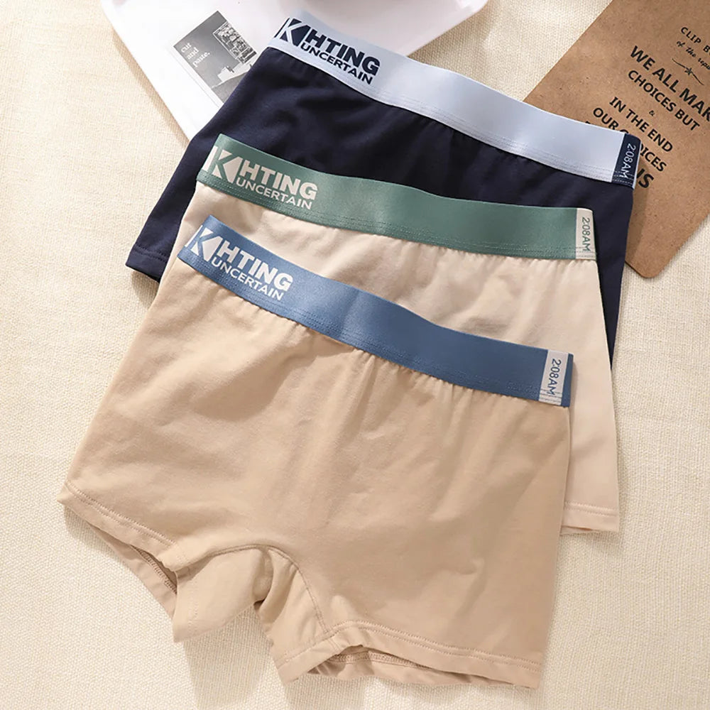3PCS/Pack 100% Cotton Breathable Antibacterial Women's Panties Comfortable Soft Lingerie High Elastic Waistband Female Underwear