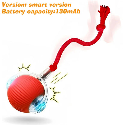 New Cat Interactive Ball Toy,Automatic Rolling Cat Ball Rechargeable,Smart Kitten Interactive Toy,Intelligent Balls Toy for Cat