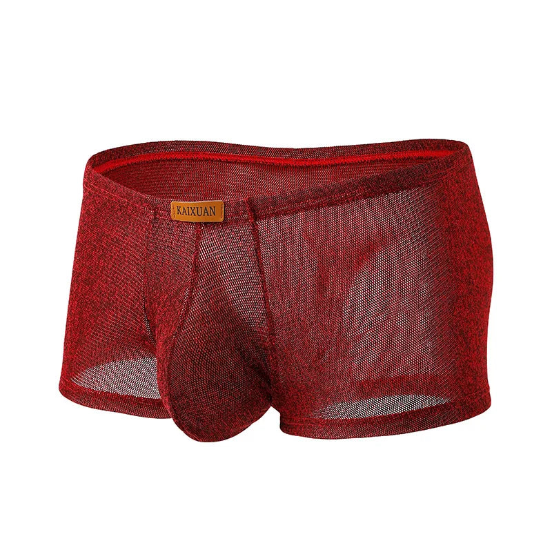 Men's Ice Silk Mesh Boxer Briefs Ultra-thin Breathable Cool Quick Dry Underwear Soft Comfortable Panties for Summer Daily Wear