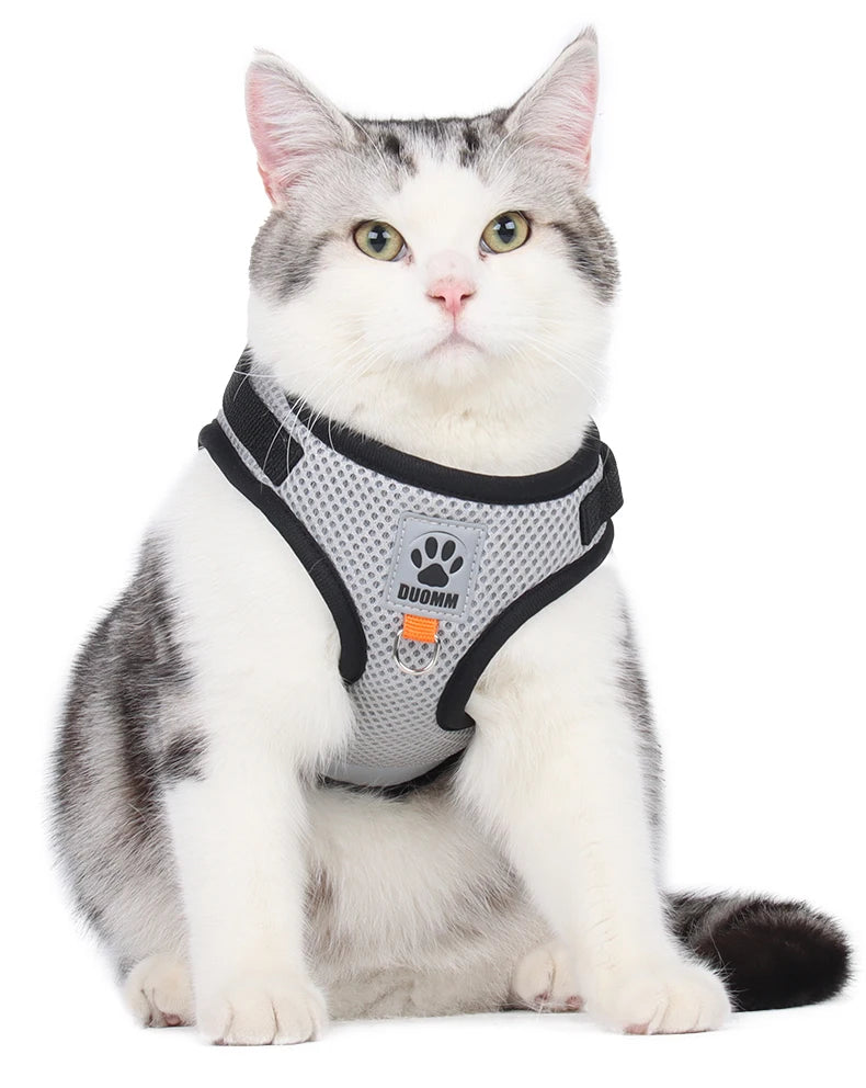 Two-tone Cat Small Dog Harness and Leash Set Breathable Mesh Reflective Escape Proof Puppy Kitten Walking Vest Style Pet Harness