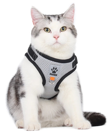 Two-tone Cat Small Dog Harness and Leash Set Breathable Mesh Reflective Escape Proof Puppy Kitten Walking Vest Style Pet Harness