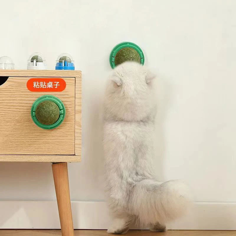 Catnip Wall Ball Toy - Natural Scratchers  Digestion Treats - ZOOMNSTORE