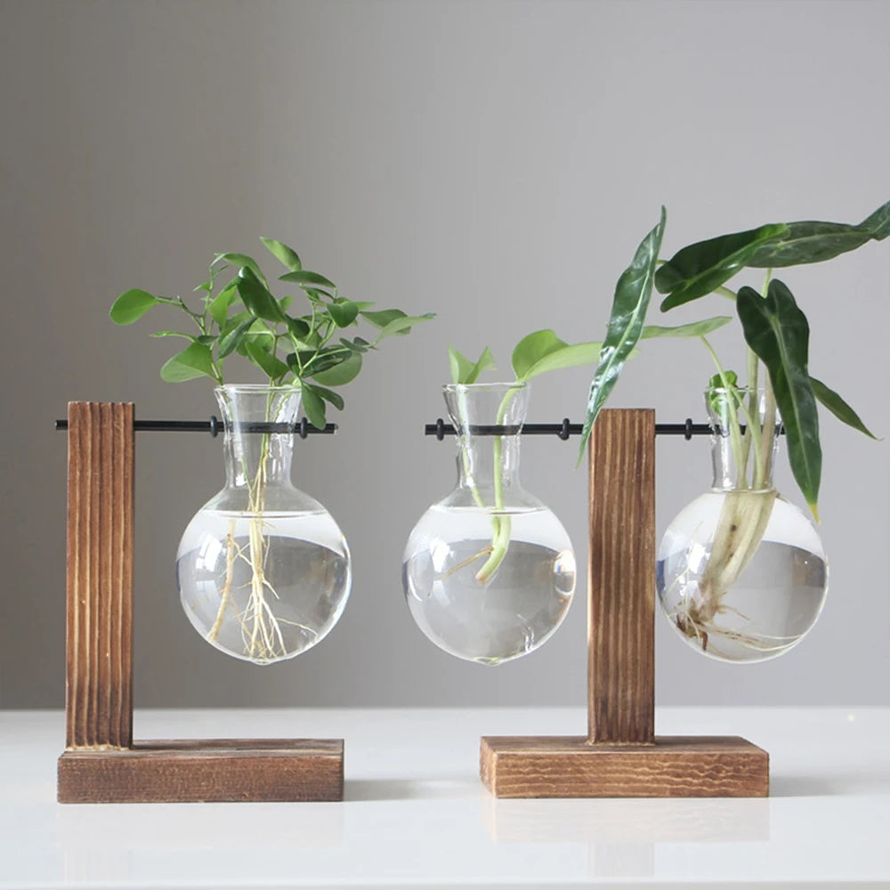 Glass Desktop Planter with Wooden Stand - Hydroponic Bulb Vase for Home Decor