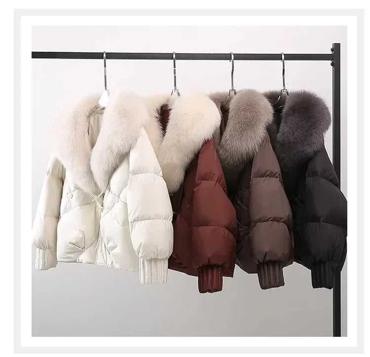 ZOOMNSTORE