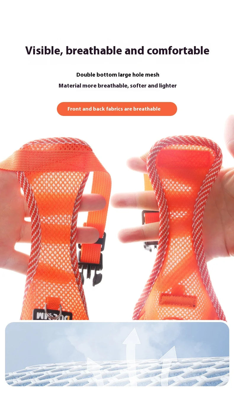 Breathable Reflective Dog Harness for Small Medium Dogs Cats Patterned Comfortable Adjustable Pet Vest with Leash