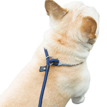 New Heavy Duty Dog Leash Slip Rope Lead Adjustable Braided Loop Collar Training Leash for Small to Medium Dogs