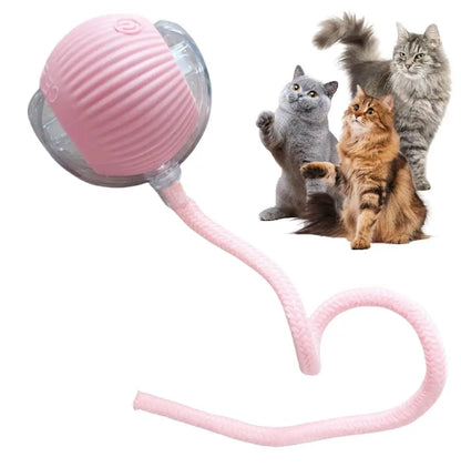 Automatic Rolling Cat Ball – USB Rechargeable Smart Pet Toy with Tail Lamp