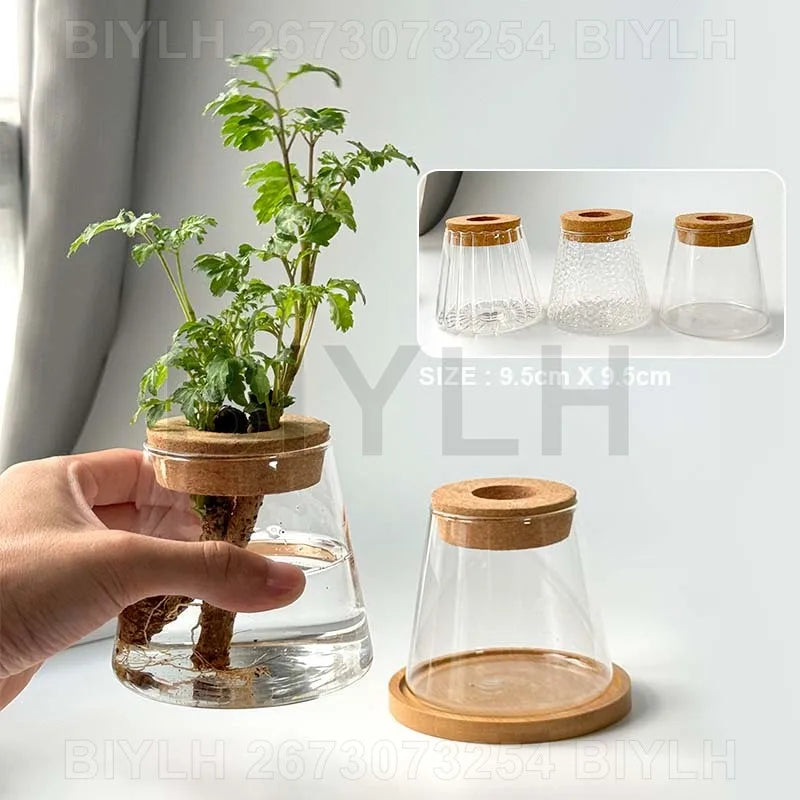 Hydroponic Glass Flower Pots - Transparent Small Vase with Base Tray for Home Decoration