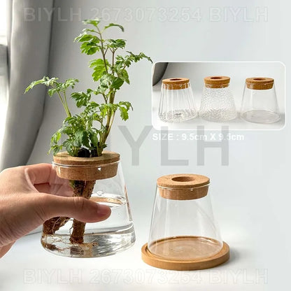 Hydroponic Glass Flower Pots - Transparent Small Vase with Base Tray for Home Decoration