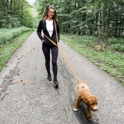 Adjustable Hands-Free Dog Leash, Suitable for Hiking, Walking, and Running - Reflective, Comfortable Elastic Leash in Various Colors (Orange, Pink, Black, Blue, Purple) - Durable Polyester Fiber, Machine Washable, Hiking Acce