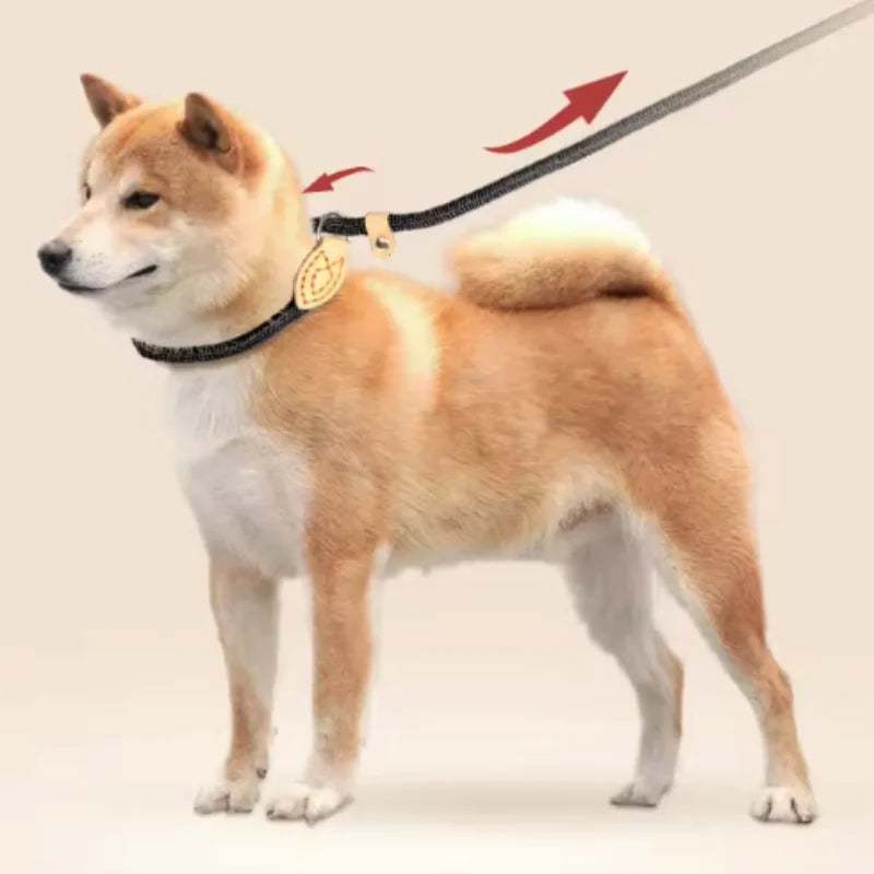 New Heavy Duty Dog Leash Slip Rope Lead Adjustable Braided Loop Collar Training Leash for Small to Medium Dogs
