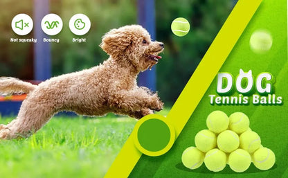 A Tennis Balls for Dogs, 2-Inch Size, Compatible with Most Automatic Ball Launchers Idea for Small Dogs(12 Balls Only)