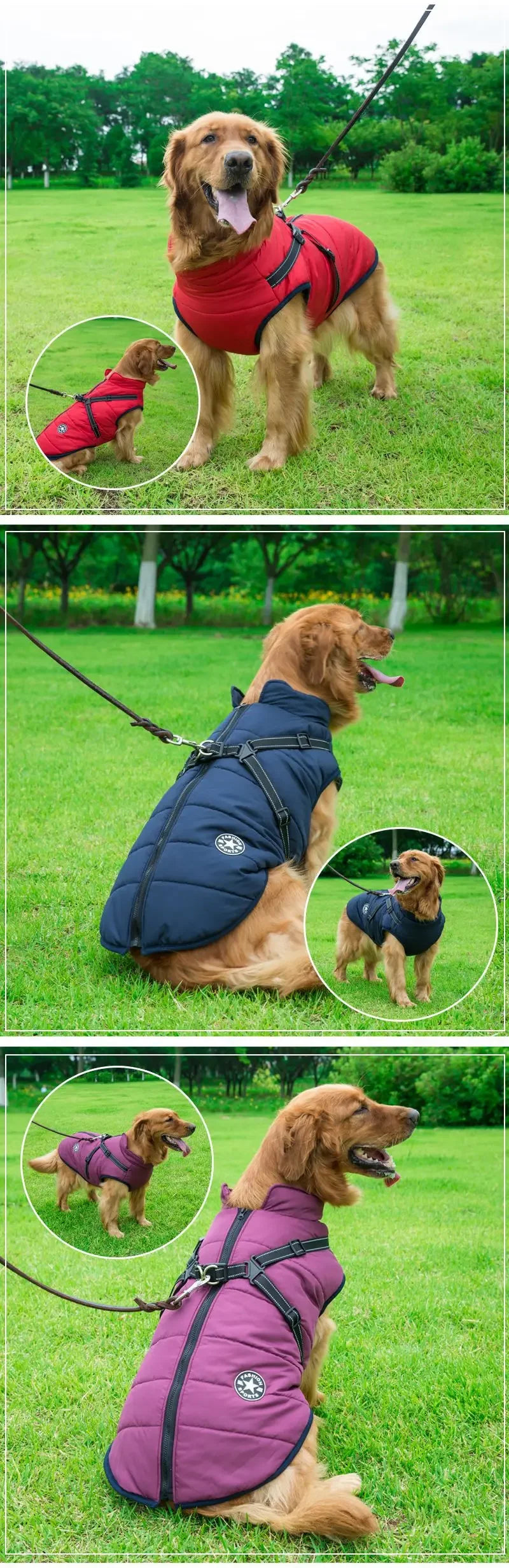 ZOOMNSTORE