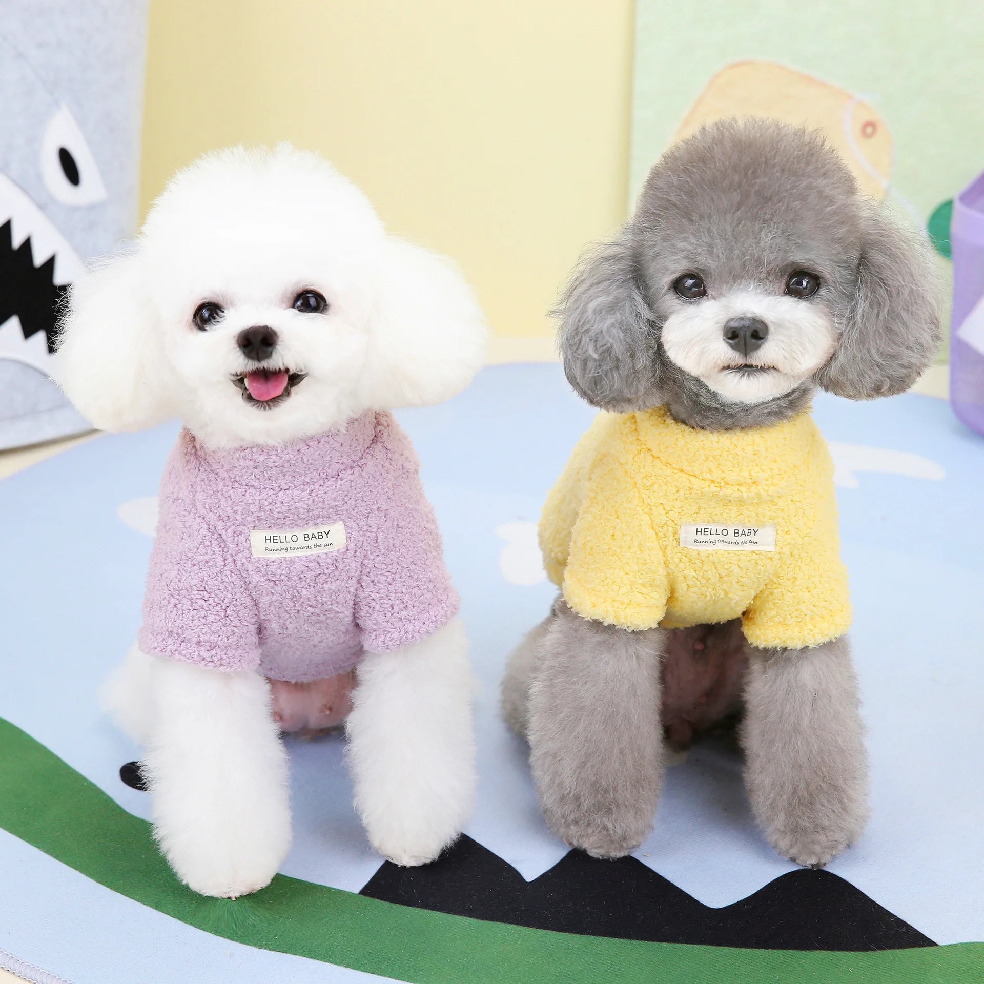 ZOOMNSTORE