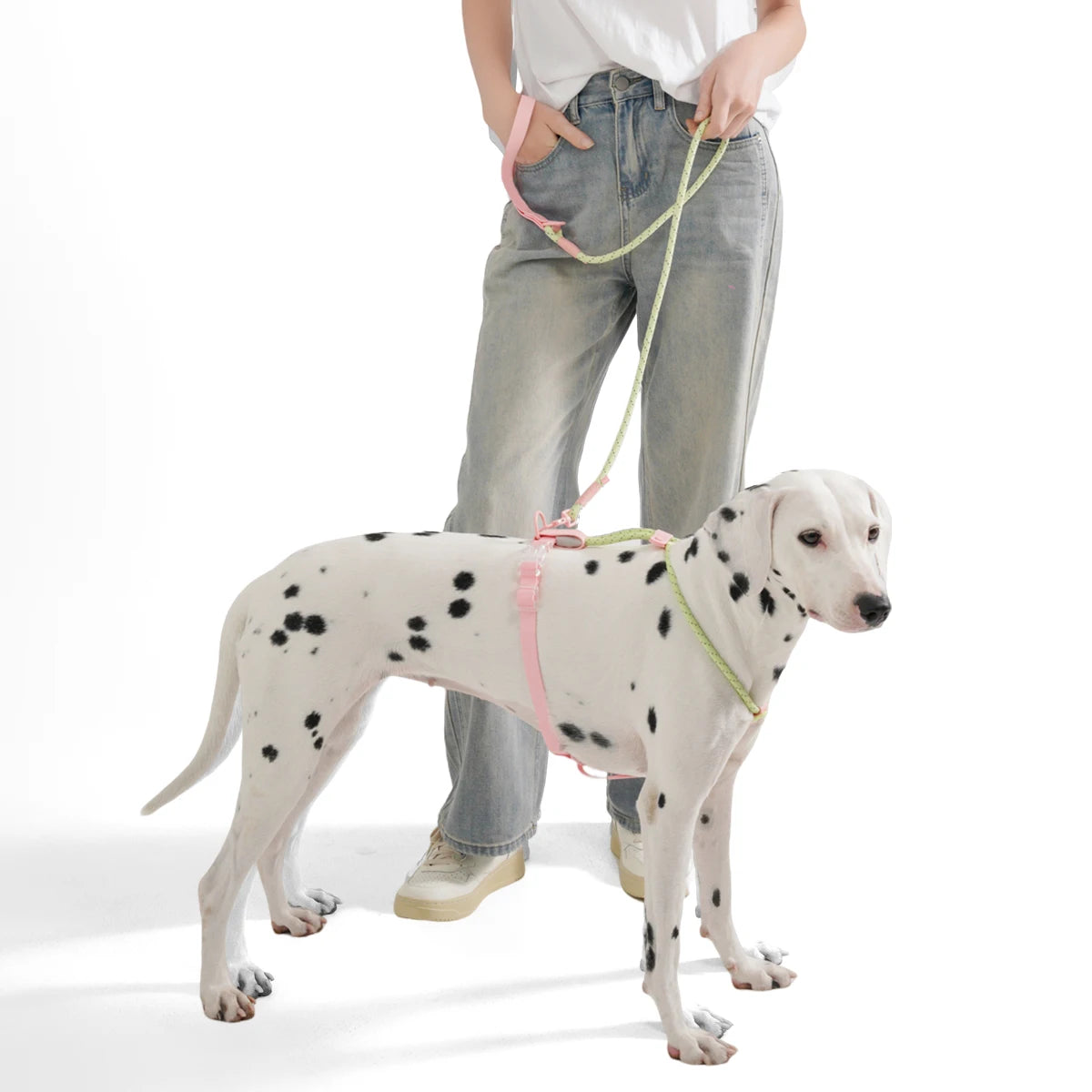 Small And Medium Dogs Harness For Summer Pet dog Walking Running Outdoor Fashion Harness No Pull Safety Reflective Nylon Leashes