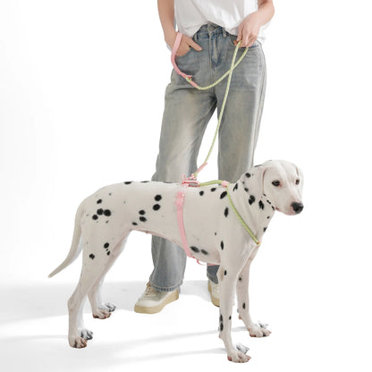 Small And Medium Dogs Harness For Summer Pet dog Walking Running Outdoor Fashion Harness No Pull Safety Reflective Nylon Leashes