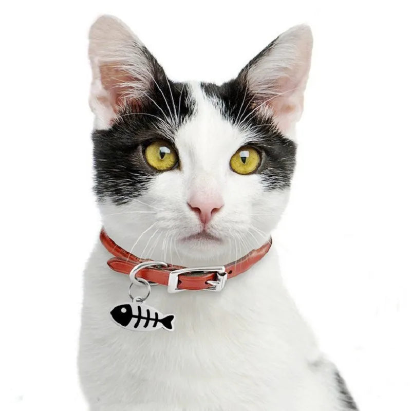 Free Engraved Pet Dog Tag Engraved Puppy Name Anti-Lost Custom Cat Id Tag Fashion Pet Kitten Nameplate Chihuahua Dog Accessories