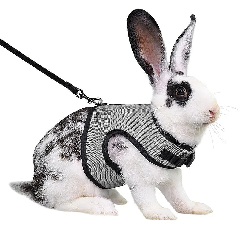 Solid Adjustable Pet Harness and Leash for Rabbit Bunny Cat Ferrets Outdoor Walking Pets Supplies Lapin Accessoires Pour Animaux