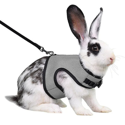 Solid Adjustable Pet Harness and Leash for Rabbit Bunny Cat Ferrets Outdoor Walking Pets Supplies Lapin Accessoires Pour Animaux