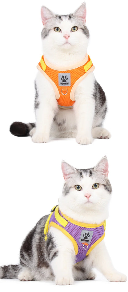 Two-tone Cat Small Dog Harness and Leash Set Breathable Mesh Reflective Escape Proof Puppy Kitten Walking Vest Style Pet Harness
