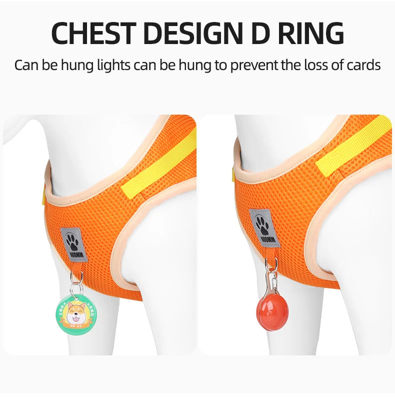 Two-tone Cat Small Dog Harness and Leash Set Breathable Mesh Reflective Escape Proof Puppy Kitten Walking Vest Style Pet Harness