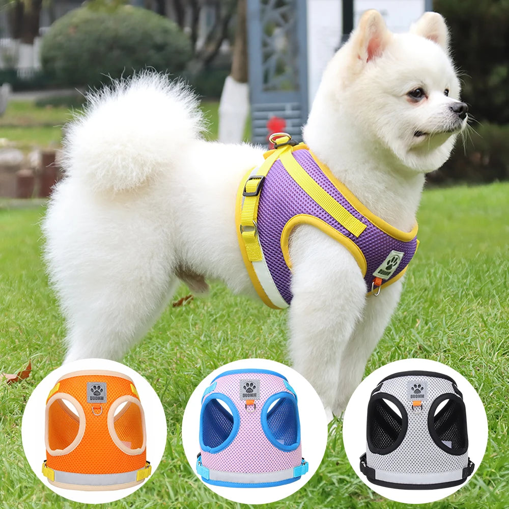 Two-tone Cat Small Dog Harness and Leash Set Breathable Mesh Reflective Escape Proof Puppy Kitten Walking Vest Style Pet Harness